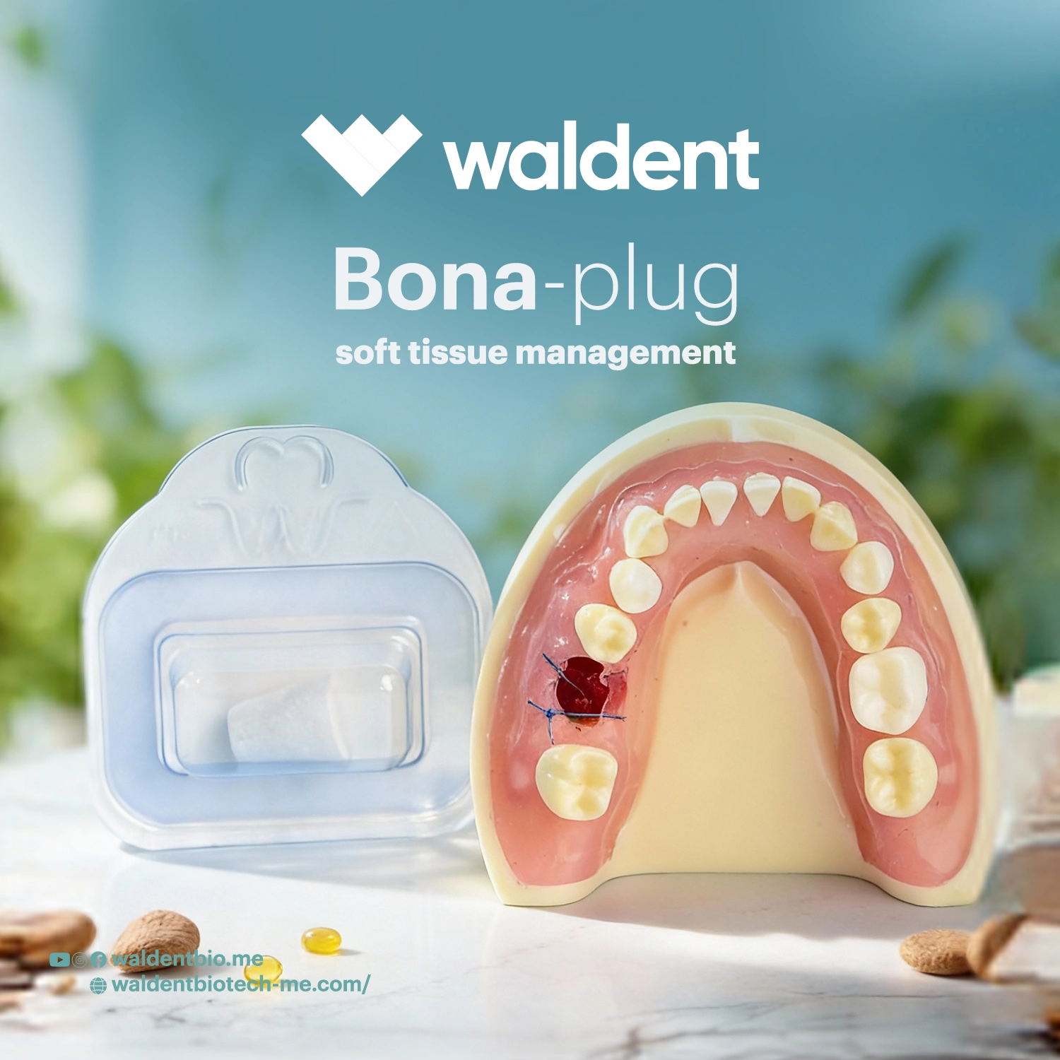 Bonaplug collagen sponge