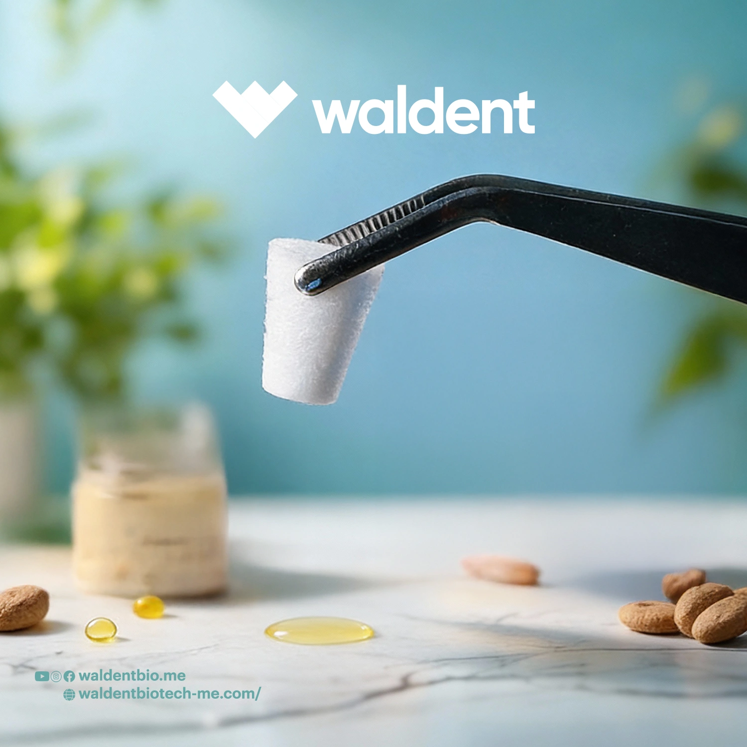 Bonaplug Collagen Matrix