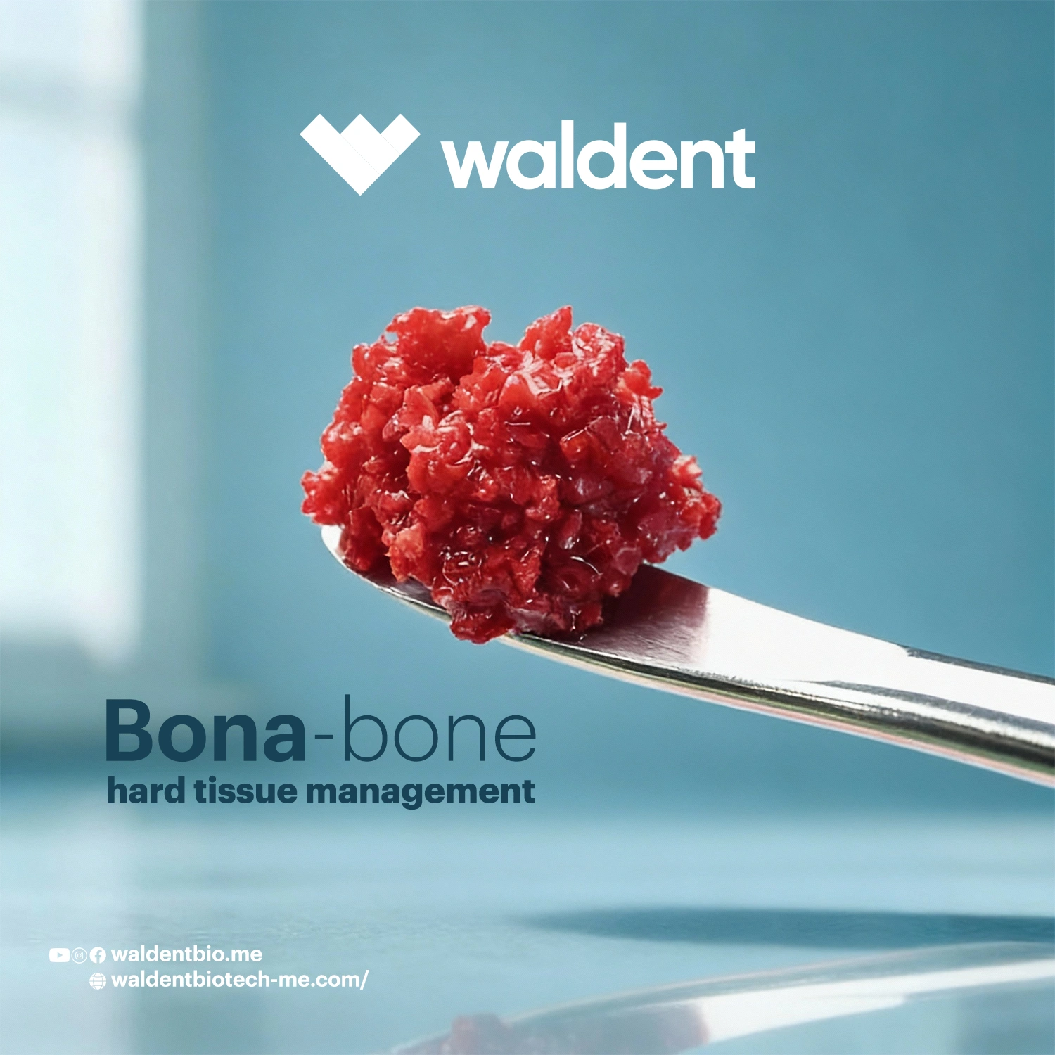 Bonabone bone substitute